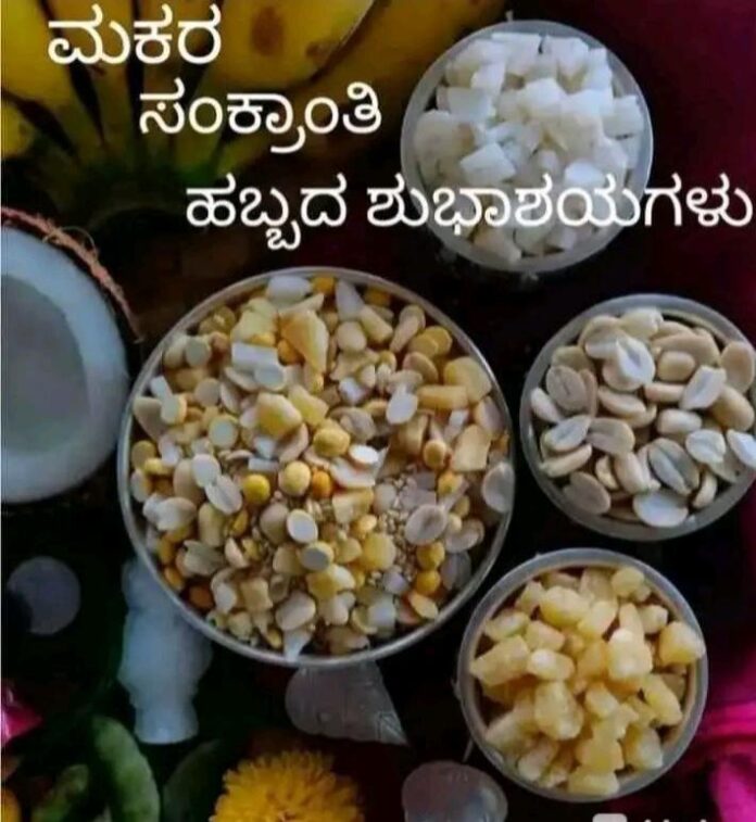 nudikarnataka.com